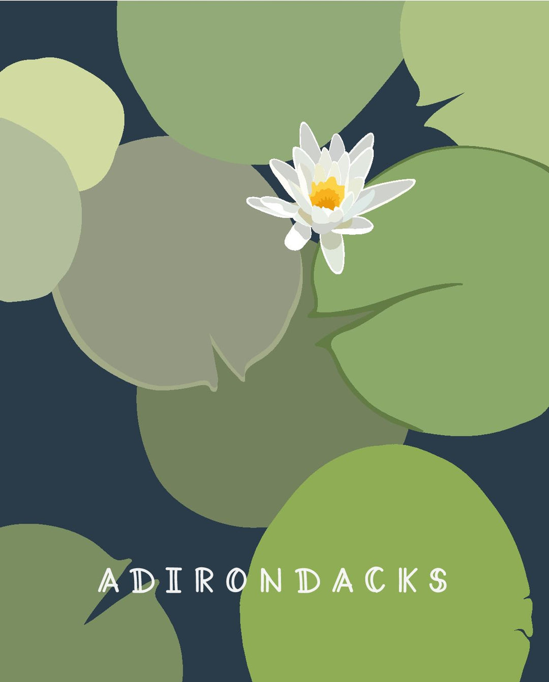 Design with water lily and green leaves on a dark blue background, featuring the word 'ADIRONDACKS'.