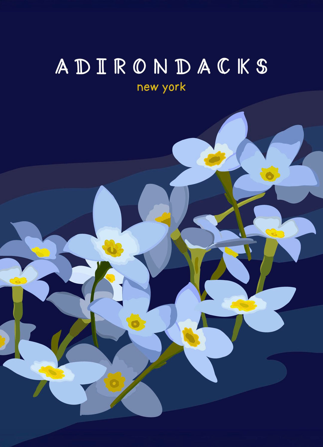 Floral design with 'Adirondacks, New York' text on a dark background