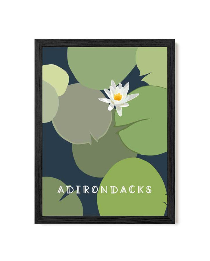 Framed artwork with a water lily and &