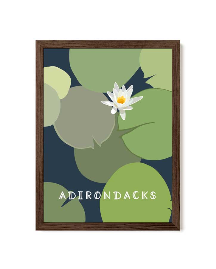 Framed artwork with a water lily and &